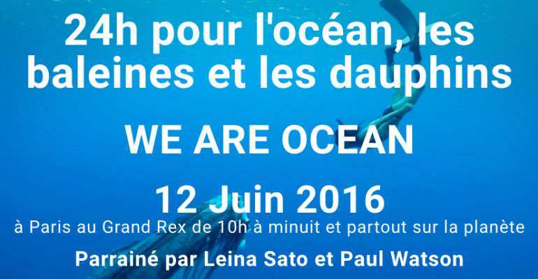 24h-pour-l-ocean